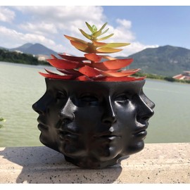 Multi-Face Succulent Planter Vase Small Face Plante Head Face Vase Home Decoration Succulent Cactus Indoor Plant Pot