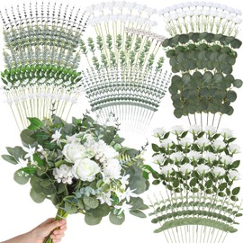 Thiccywoov 250 Pcs Artificial Eucalyptus Leaves Stem Bulk Fake Greenery Faux UV Resistant Sprays Silver Dollar Eucalyptus for DIY Wedding Bouquet Vase Floral Arrangement Decor(White, Green,15 Kinds)