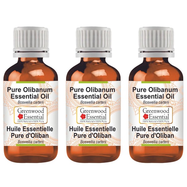 Greenwood Essential Pure Olibanum Essential Oil (Boswellia carterii) Natural Therapeutic Quality Steam Distilled (Pack of Three) 100 ml x 3 (10 oz)