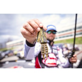 Berkley PowerBait MaxScent フィッシングソフトベイト