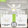 DAMINY 30 Inch White and Gold 5 Blade Ceiling Fan