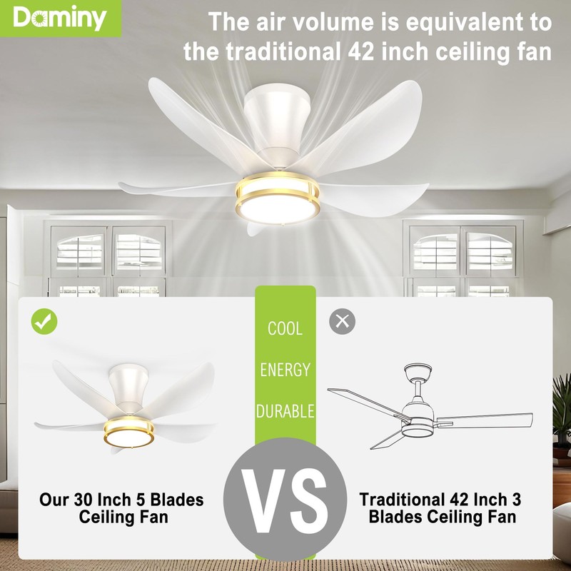 DAMINY 30 Inch White and Gold 5 Blade Ceiling Fan