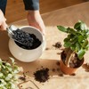 2 Quarts Horticultural Charcoal for Indoor Plants-Hardwood Potting Soil Amendment