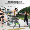 YP Prodcuts - Resistance Bands Set for Men and Women,