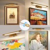 ZitoStory Gold Portrait Art Light Battery Operated Picture Light with