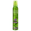 Garnier Fructis Style Foam Hydra Curls 200ml