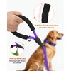 Joytale Dog Leash for Large Dogs, Heavy Duty Nylon Leashes