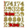 XIAXIN TSS-607G [Waterproof PVC Glitter Processing] Number Sticker Set, Weatherproof,