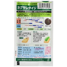 Takii Seedling Negusaletiji