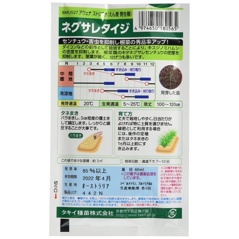 Takii Seedling Negusaletiji