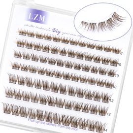 LZM Brown Individual Eyelashes, Fake Lashes, 8-14 mm, C Curl False Eyelashes, Natural Look, Artificial Eyelashes, Soft DIY Brown Cluster Eyelashes, Individual Natural Eyelashes, Brown Lashes (Brown
