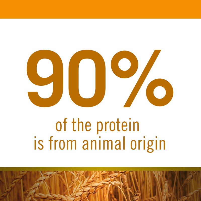 Farmina N&D Chicken & Pomegranate for Med/Maxi Dogs 5.5 Pounds