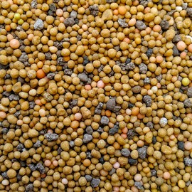 House Plant Fertilizer - Complete Slow Release Formula + Micro Nutrients by PowerGrow - Feeds Houseplants for 8 Months and includes over a Year Supply (2-PACK (House Plant Fertilizer Bag))