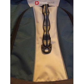 SwissGear Daypack