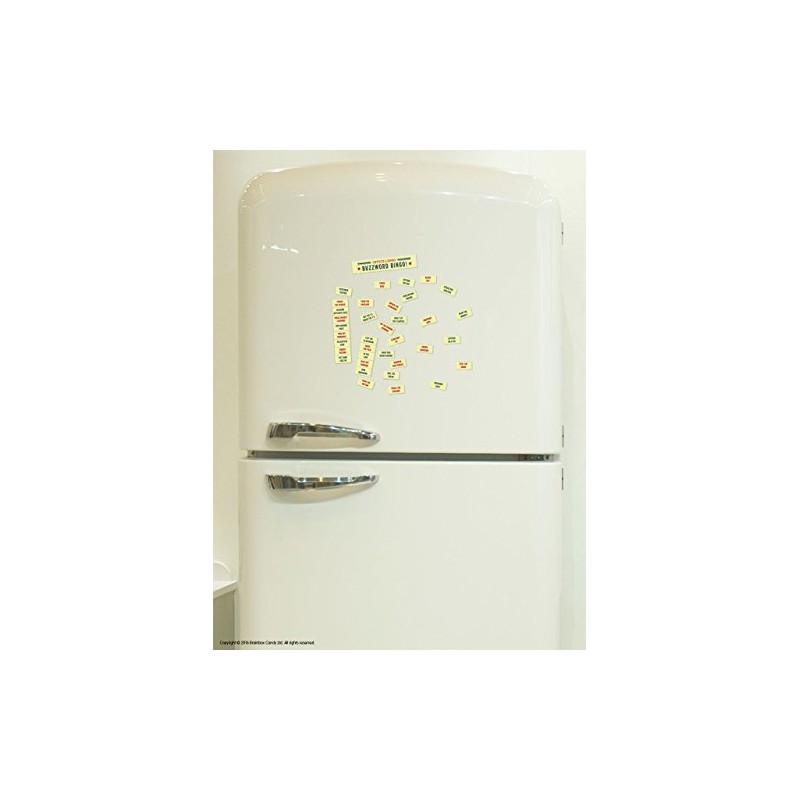 Brainbox Candy Buzzword Bingo Magnetic Words