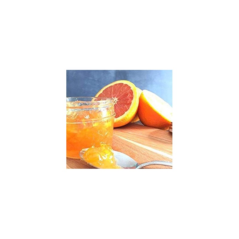 Ball Mason 4oz Quilted Jelly Jars with Lids and Bands,