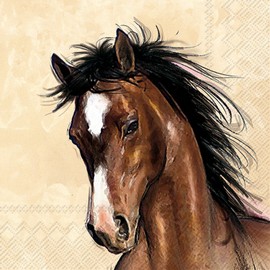 IHR Ideal Home Range Cocktail Napkins Disposable 3-Ply Paper Party Napkin Pack, 5" x 5", Amy & Lucy (Cream), 20-Count