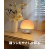 Dreamegg Light Alarm Clock, White Noise Machine, Alarm Light, Light