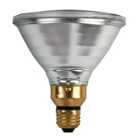 Feit electricIndoor/Outdoor PAR38 Flood Medium Base 90W Replacement Bulb, 2-pack