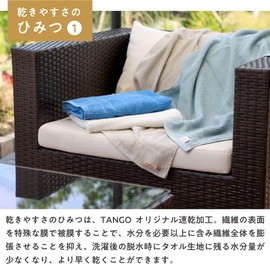 TANGONO Imabari Towel, Easy to Dry Towel, Bath Towel (Set of 2, 24.0 x 51.2 inches (61 x 130 cm), Smoke Aqua, Soothing Your Skin/Gentle Texture, Absorbent and Quick Drying, Made in Japan, Towel Room