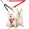 Double Dog Pet Lead Leash Splitter Coupler with Clip for