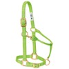Weaver Leather Original Adjustable Nylon Horse Halter