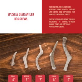 Spizzles Grade A, Premium Antlers for Dogs I Long-Lasting Dental Treat IGreat for Bordem & Stress I USA-Sourced Naturally Shed I Chewing Outlet for Aggressive Chewers & Teething Puppies-Deer Antler 7"