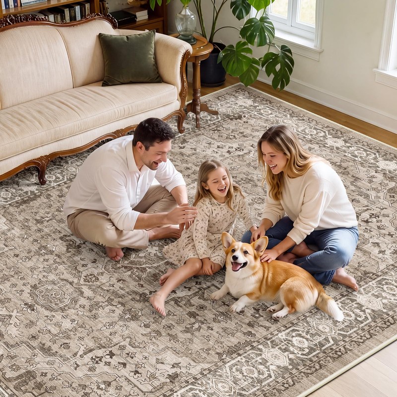 8x10 Area Rug Living Room, Vintage Washable Carpet Brown