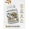 Natures Elements Chaga Mushroom – Pack of 3 – 10:1
