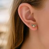 Dragonfly Earrings for Women Blue Dragonfly Stud Earrings Tiny Bug