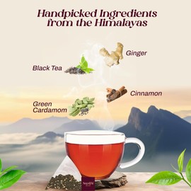 Organic Masala Chai Tea Bags 15 Count, Pyramid Tea Bags from the Himalayas, Spiced Masala Blend Biodegradable 100% Pure Blended with Exotic Spices, Black Tea Bags, Whole Loose Leaf