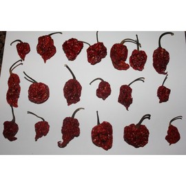 Whole Trinidad Scorpion Gift Package Dried Intact Seed Pods Red Tail Hotter Than Ghost Pepper