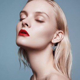 Moth Earrings Sterling Silver Skull Moth Dangle Earrings Gothic Jewelry Gift for Women, Sterling Silver, No Gemstone