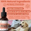 Petastical Skullcap Valerian, Cat Dog Calming, Anxiety Calming Drops, Home