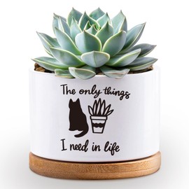Myakako Succulent Planter Pots Cactus Flower White Ceramic Plant Pot with Drainage, Funny Plant Decorative Pots for Plants, Indoor Planter I Need in Life Small Succulent Pots, Plant Not Included