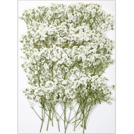 56Pcs White Babys Breath Dried Pressed Flowers for Crafts, Real Natural Dry Flowers Bulk for Wedding Card Home Party Decor, Resin Art, Bookmark, Scrapbook, Jewelry, Candle & Soap Making, Cakes Decor
