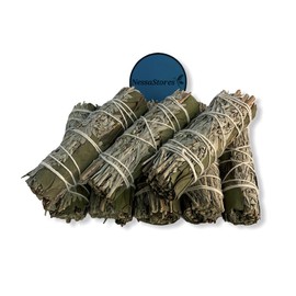 NESSASTORES - Blue Sage + Eucalyptus Smudge Incense 4" Bundle #JC-203 (3 pcs)