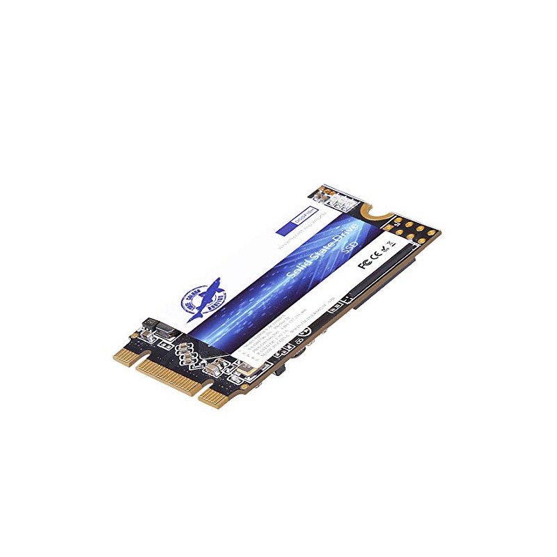 Dogfish SSD M.2 2242 250GB Solid State Drive Ngff Internal