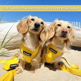DJANGO Adventure Dog Harness – Comfortable, Durable, and Reflective Neoprene Dog Harness for Outdoor Adventures and Everyday Wear – Adjustable with Solid Brass Hardware (Large, Dandelion Yellow)