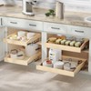 ROOMTEC Pull Out Cabinet Organizer 22-1/2" W x 21" D,