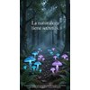 Suplemento Multiblue de Hongos con Melena de León y Cordyceps,