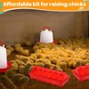 Funnymoom 12 Pack Chicken Feeder and 1.5l Waterer Set Bird