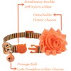 BoomBone Fall Cat Collar with Bell and Pumpkin Charm