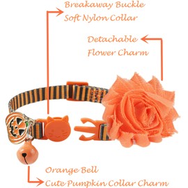 BoomBone Fall Cat Collar with Bell and Pumpkin Charm