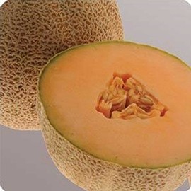 Cantaloupe Melon Garden Seeds - Ball 2076 Hybrid - 25 Seeds - Non-GMO, Vegetable Gardening Seeds - Fruit