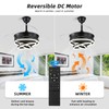 Retractable Ceiling Fan with Lights,Dimmable,6 speeds,DC Motor,36 inch Modern DIY