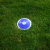 RT Blue Vector Discus. 1.6kg Discus. 1.6k Discus. high School