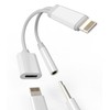 Lightning 3.5mm Earphone Jack Adapter (2 in 1) Simultaneous Charging