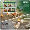 Chicken Nesting Box, 6 Compartment Metal Chicken Nesting Boxes for