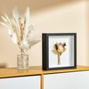 MUXIUNT Small Shadow Box Picture Frame Display Cases with Soft